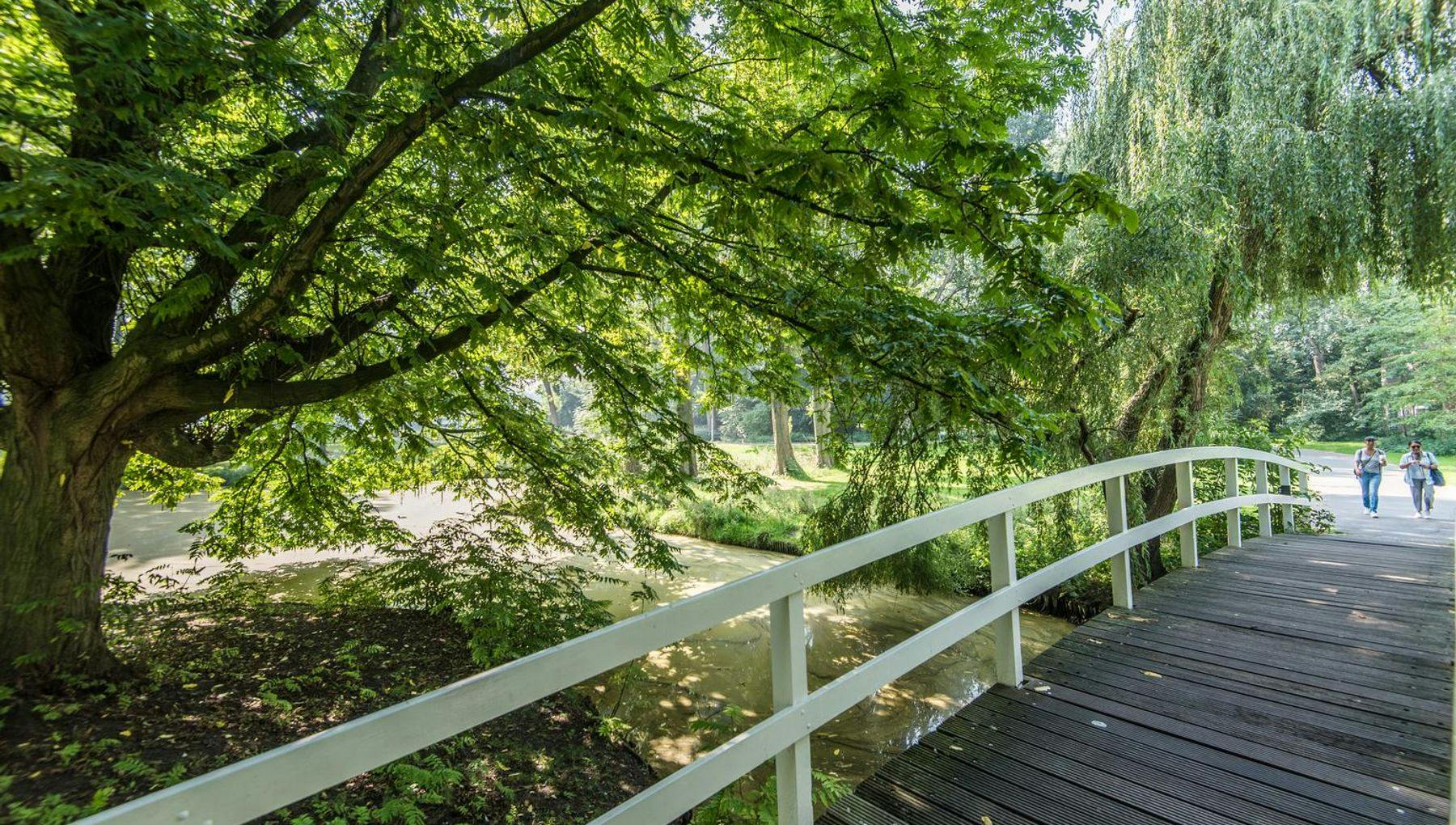 Noorderpark walking path bridge