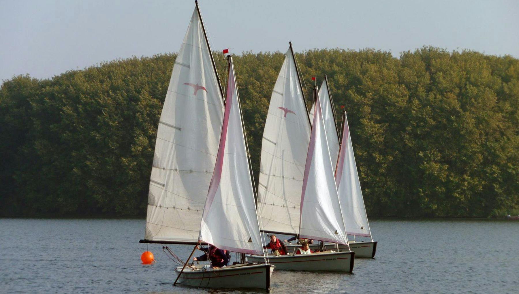 Sailing Boats on the Sloterplas.