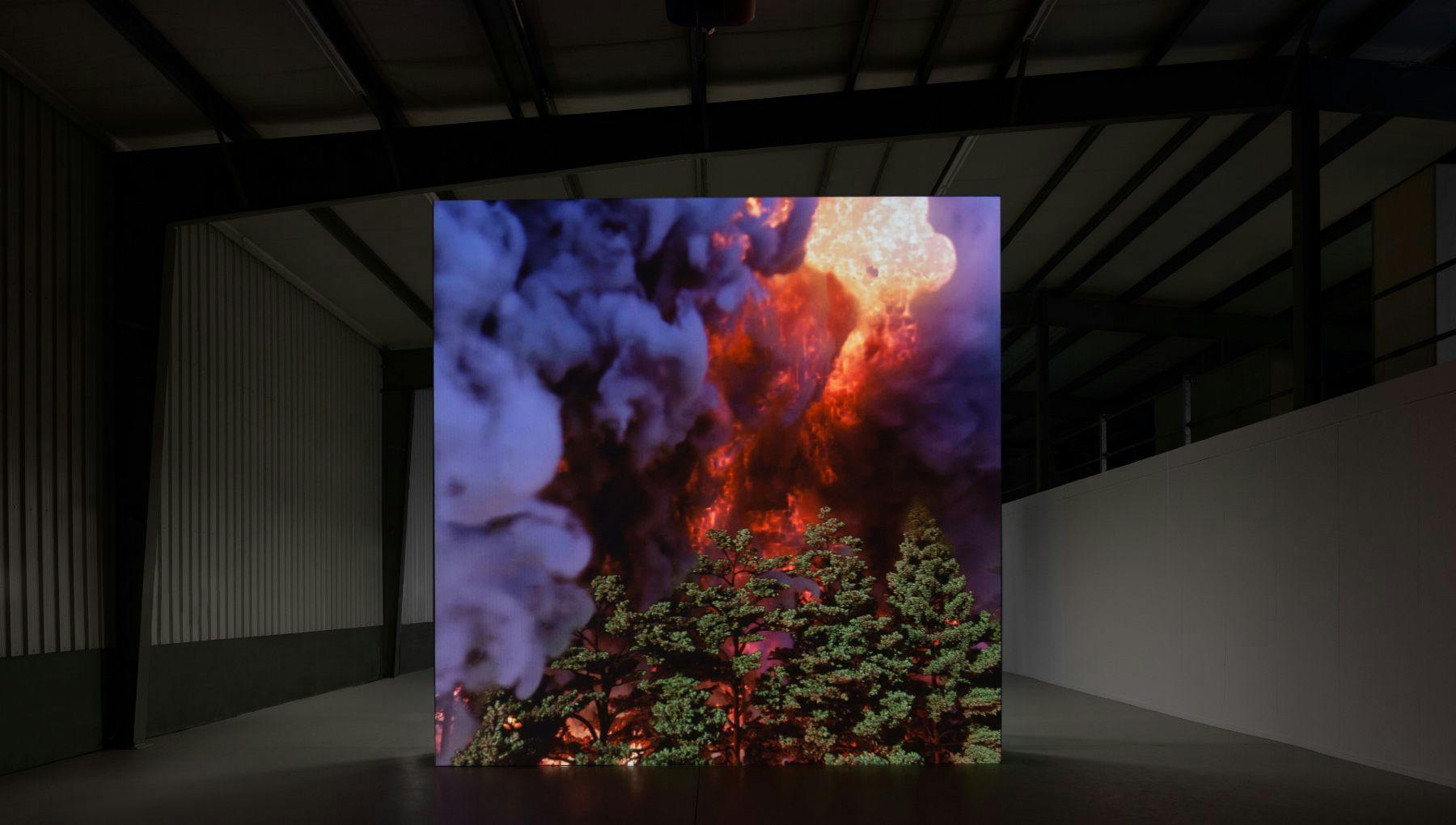 On the Inside exhibition Wildfire by David Claerbout