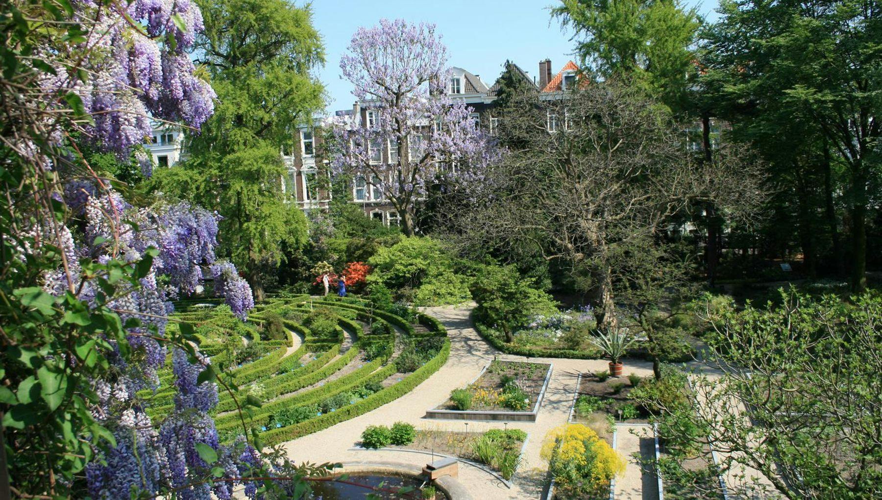 This image can also be used for general promotion of Amsterdam, provided that the name Hortus Botanicus will be mentioned under the image.