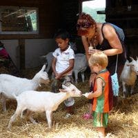 A woman and three children at the Amsterdamse Bos Goat Farm Ridammerhoeve Geitenboerderij to feed young goats