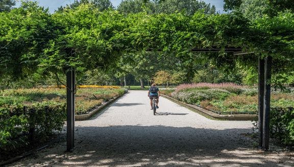 Biking through miracle garden in Erasmuspark