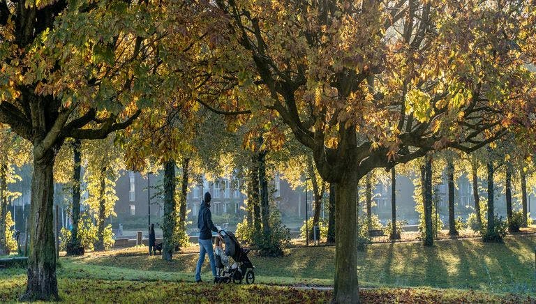 Erasmus park man strolling with child Sunny autumn day