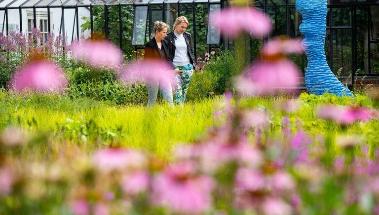 People walking in Singer Laren museum sculpture garden with flowers
