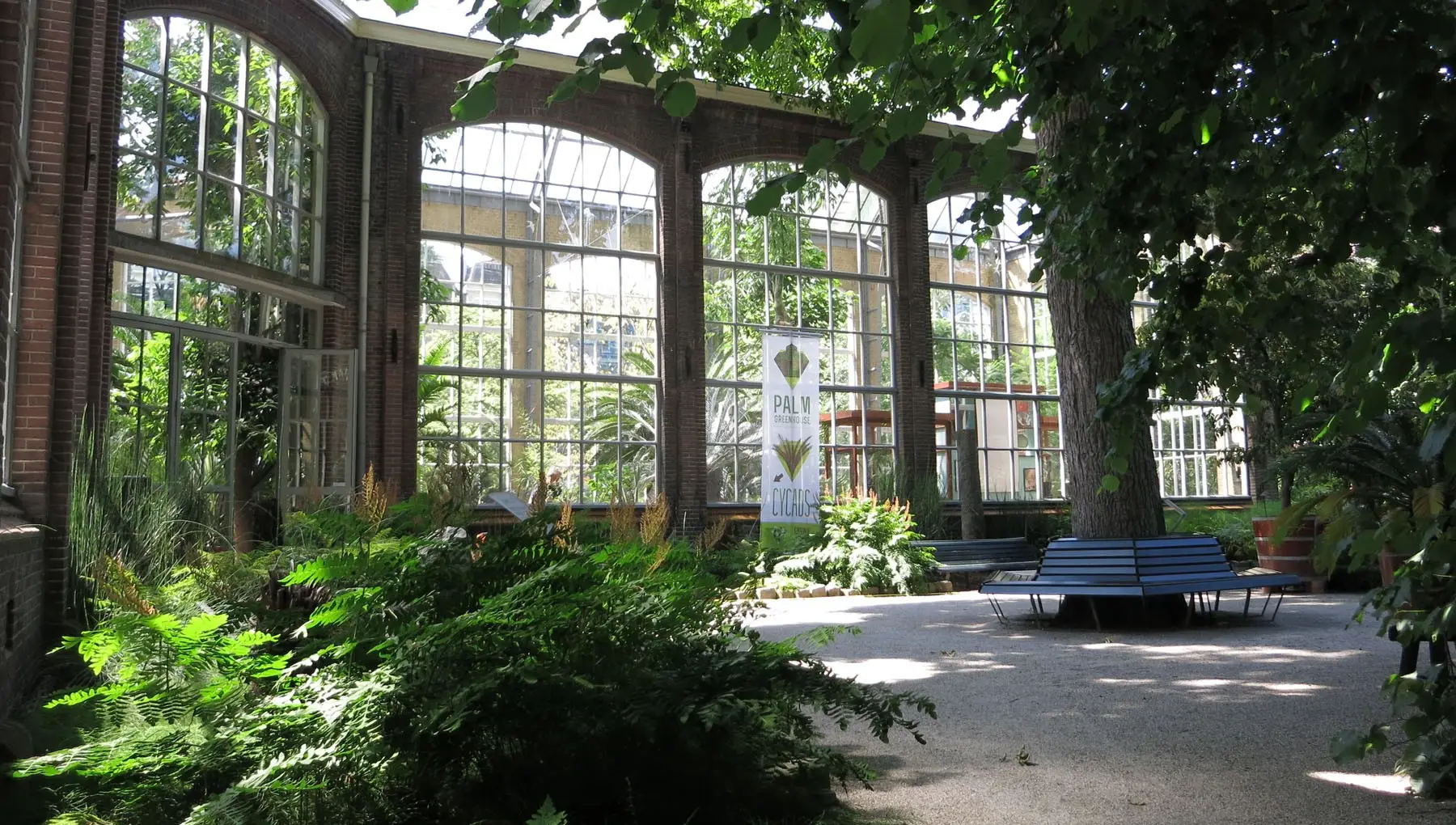Hortus Botanicus Amsterdam