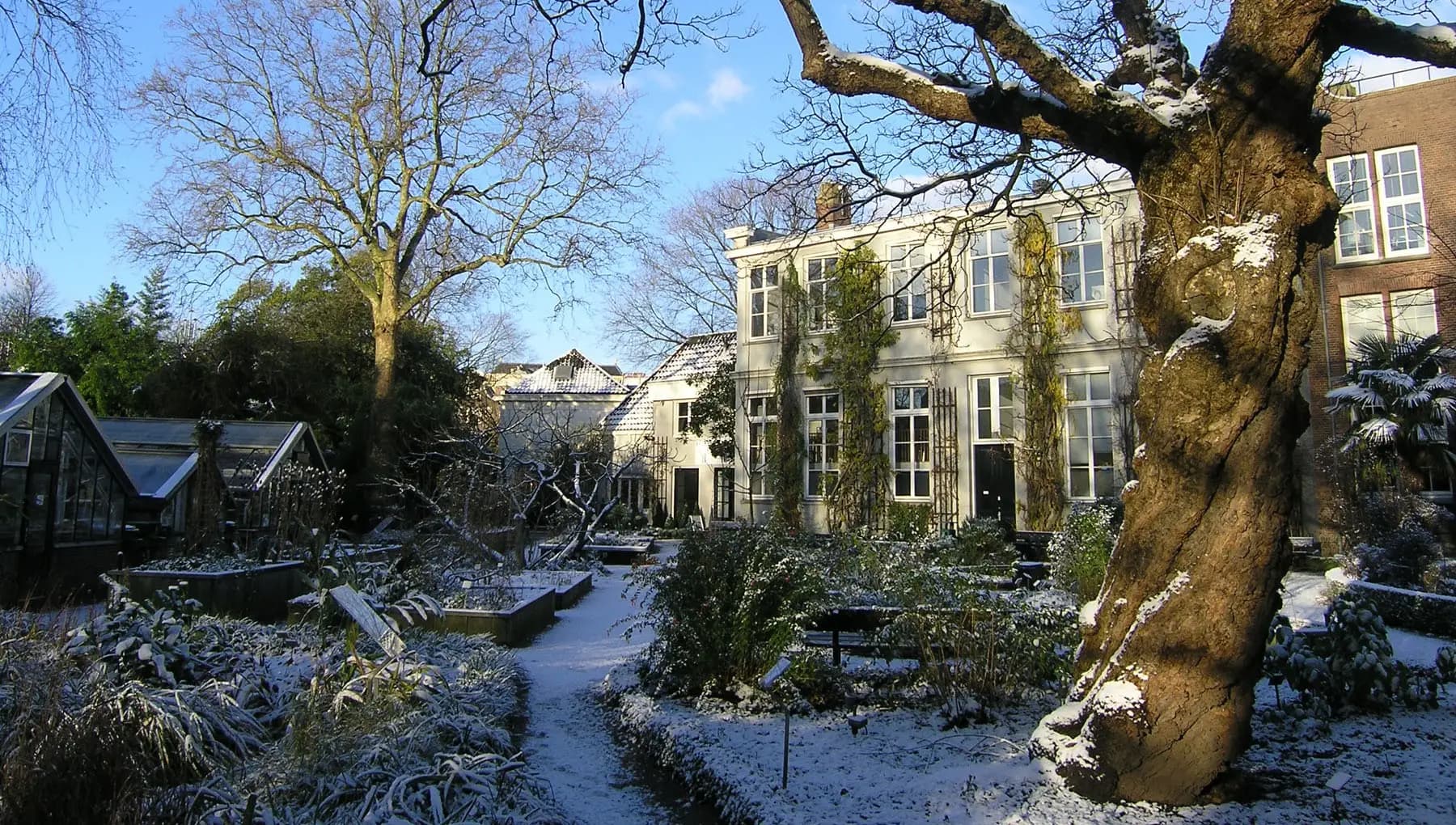 Hortus Botanicus Amsterdam