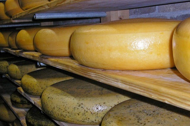 Clara Maria cheese farm & clog factory