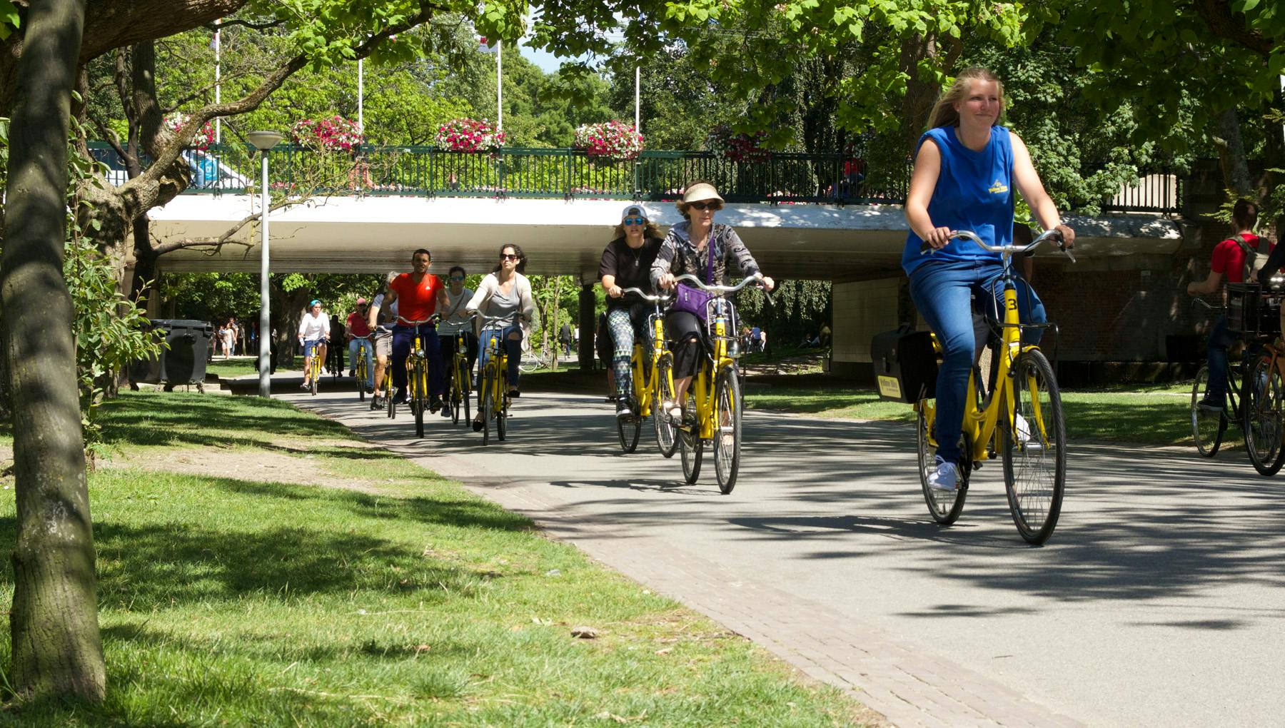 Arrangements Amsterdam Yellow Bike