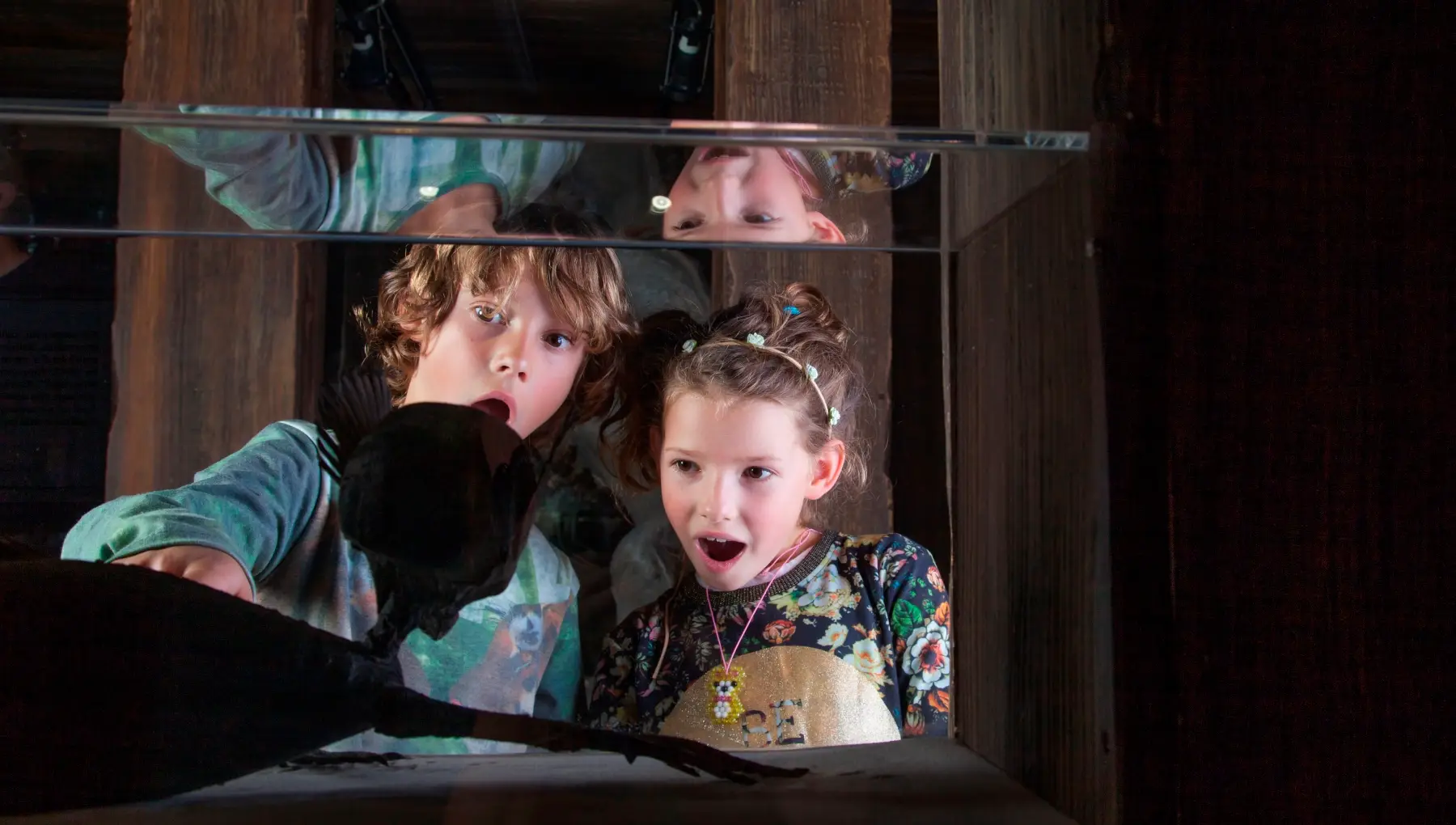 Ripley's Believe it or not Amsterdam - Mermaid