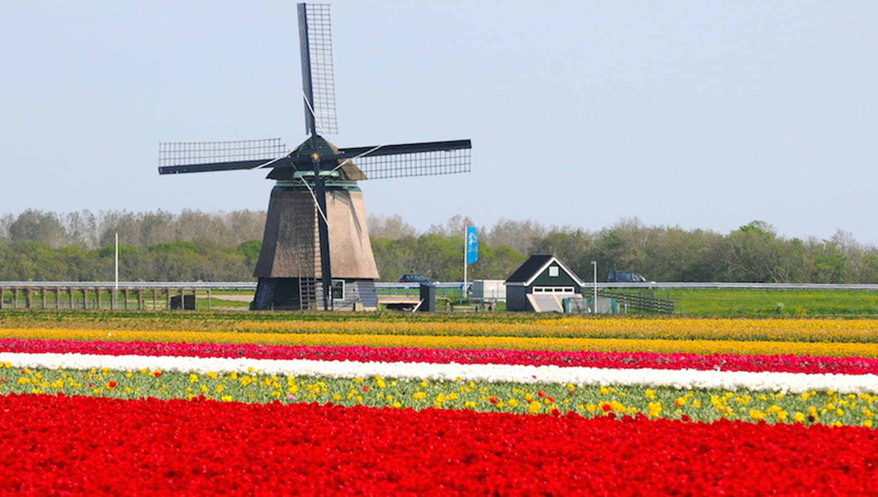Visit old working windmills without the tourists