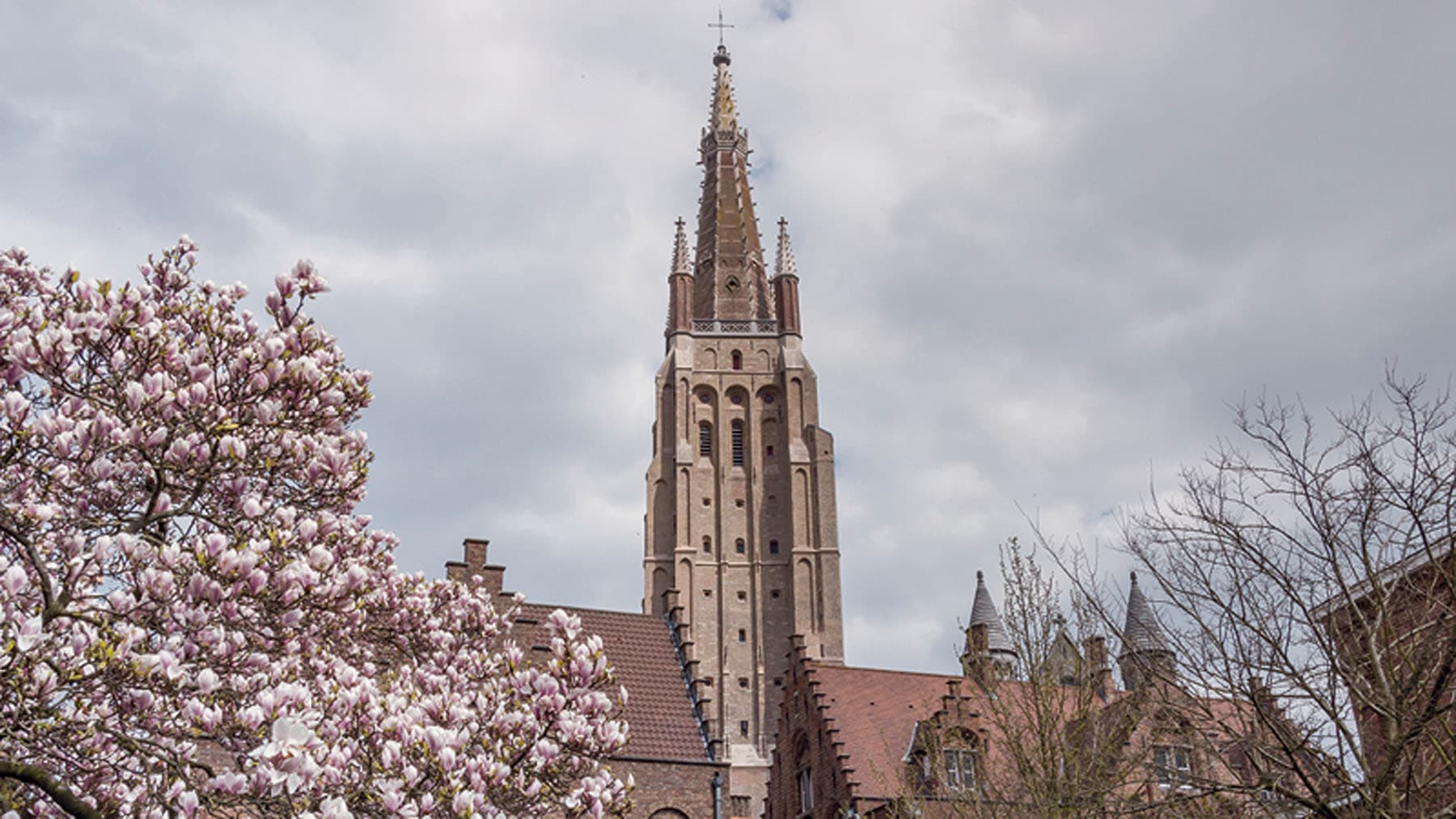 Tours & Tickets - Brugge tour