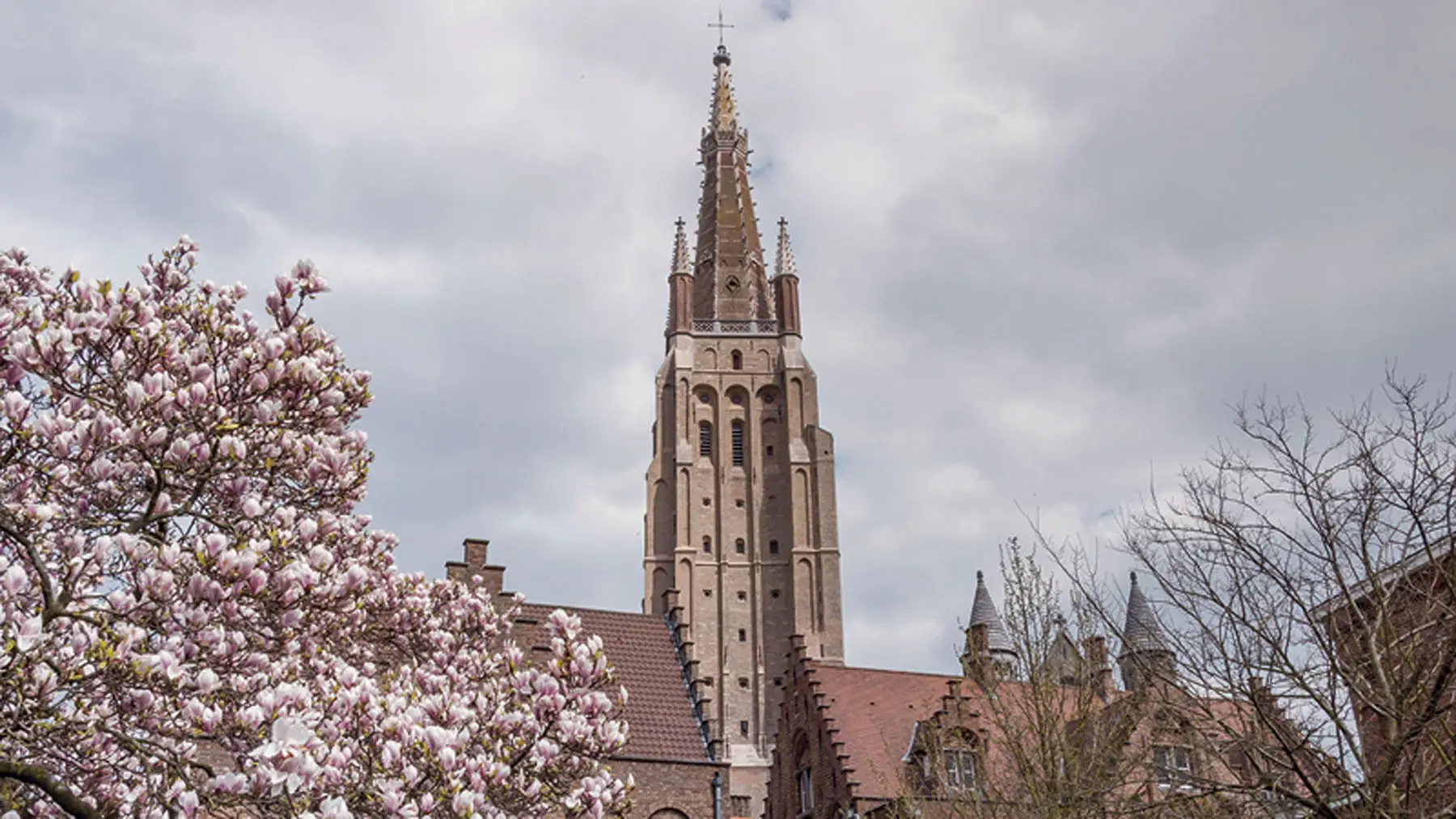 Tours & Tickets - Brugge tour