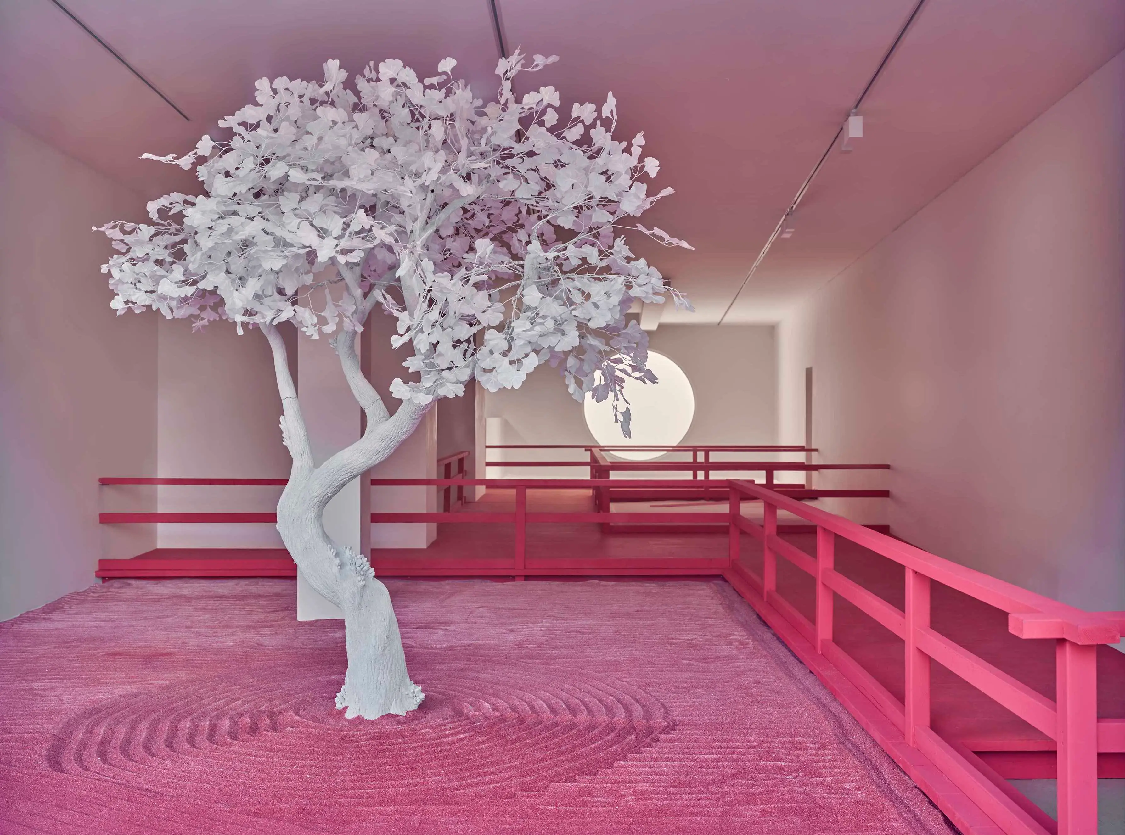 Installation view, Daniel Arsham, Lunar Garden