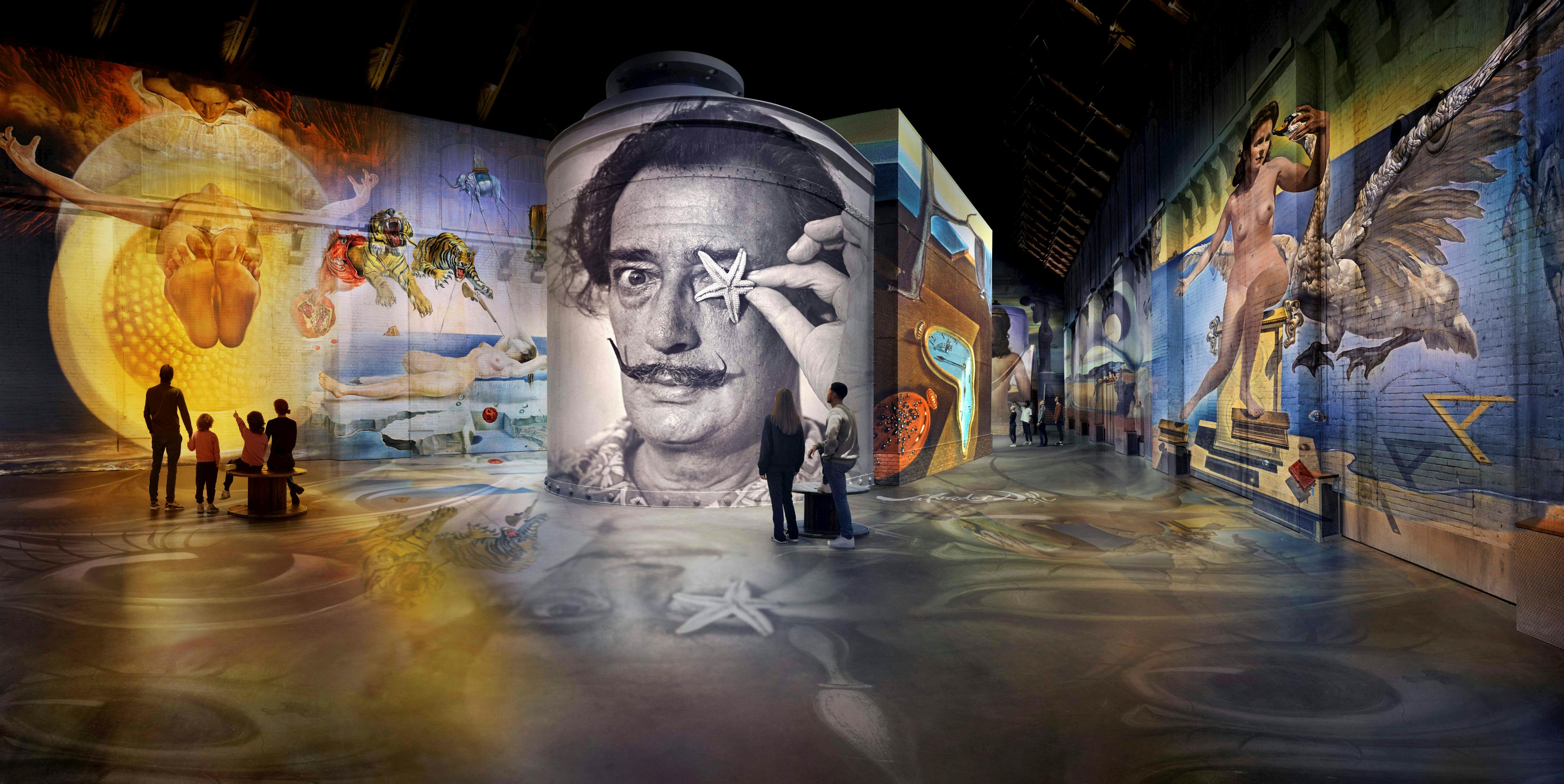 Dalí, The Endless Enigma