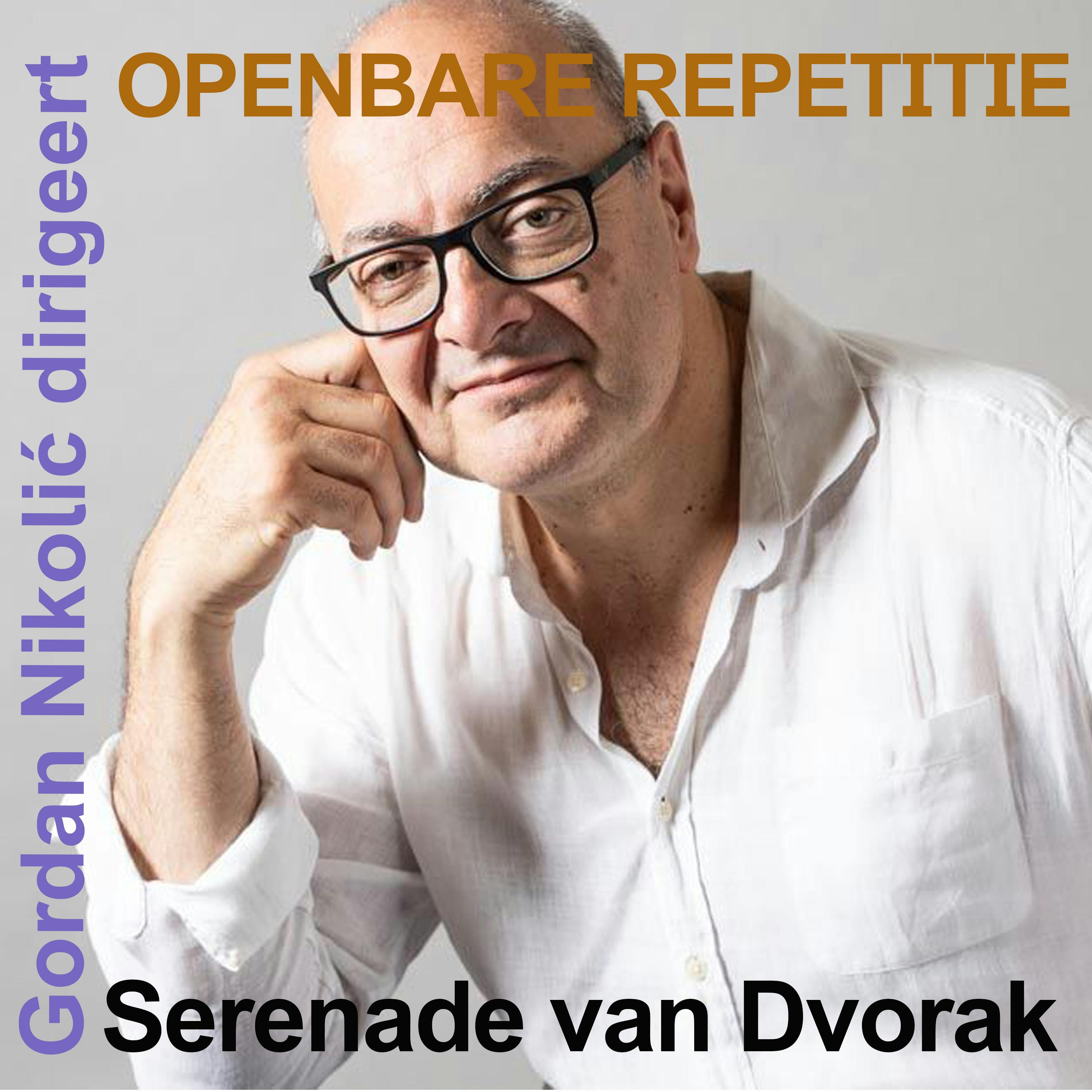 Openbare repetitie in de NedPhO-Koepel: De excellente Serenade van Dvorak