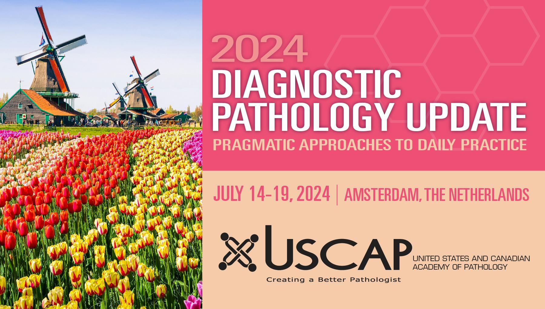 Diagnostic Pathology Update 2024