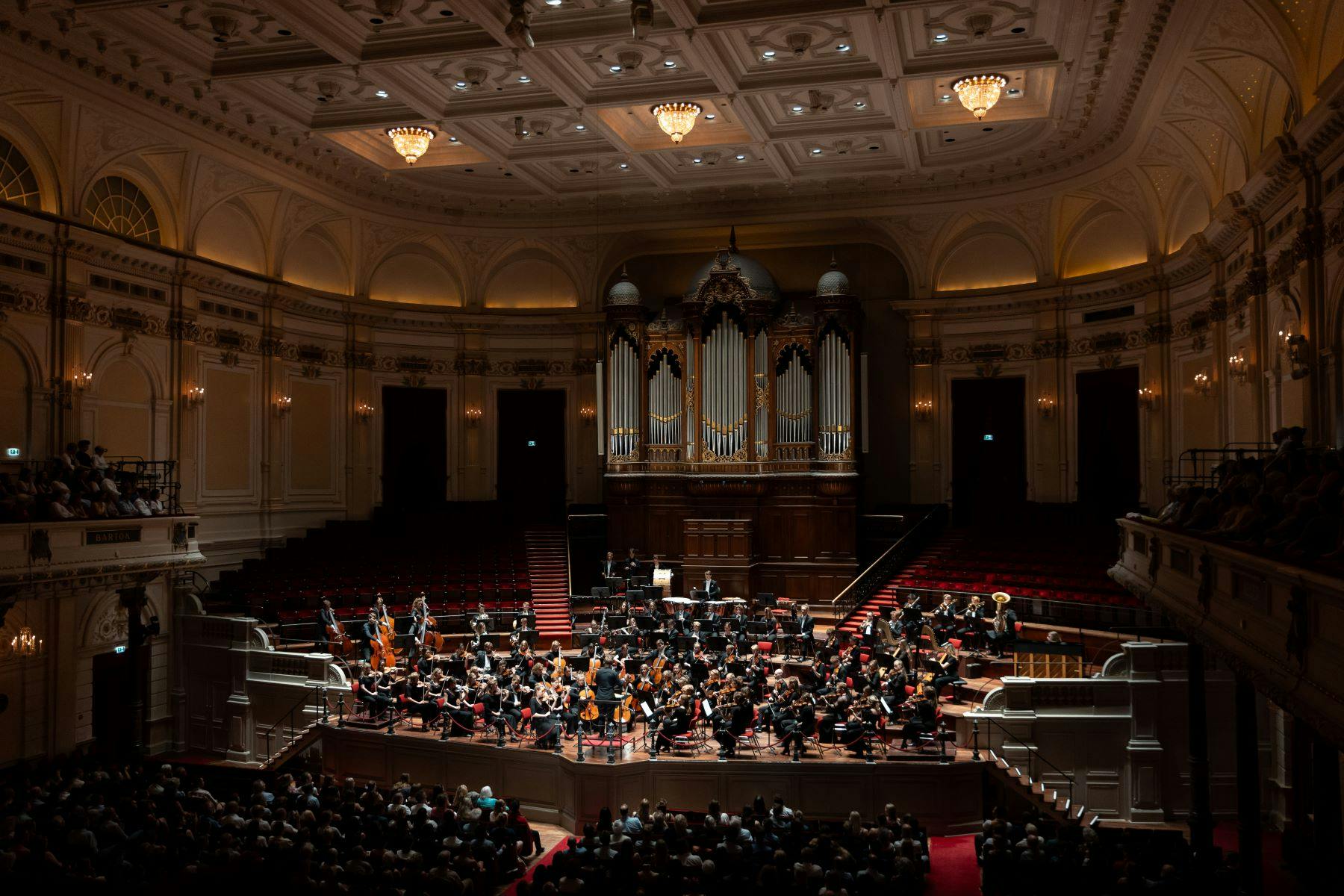 Sweelinck Orchestra gives benefit concert for Black Jaguar Foundation