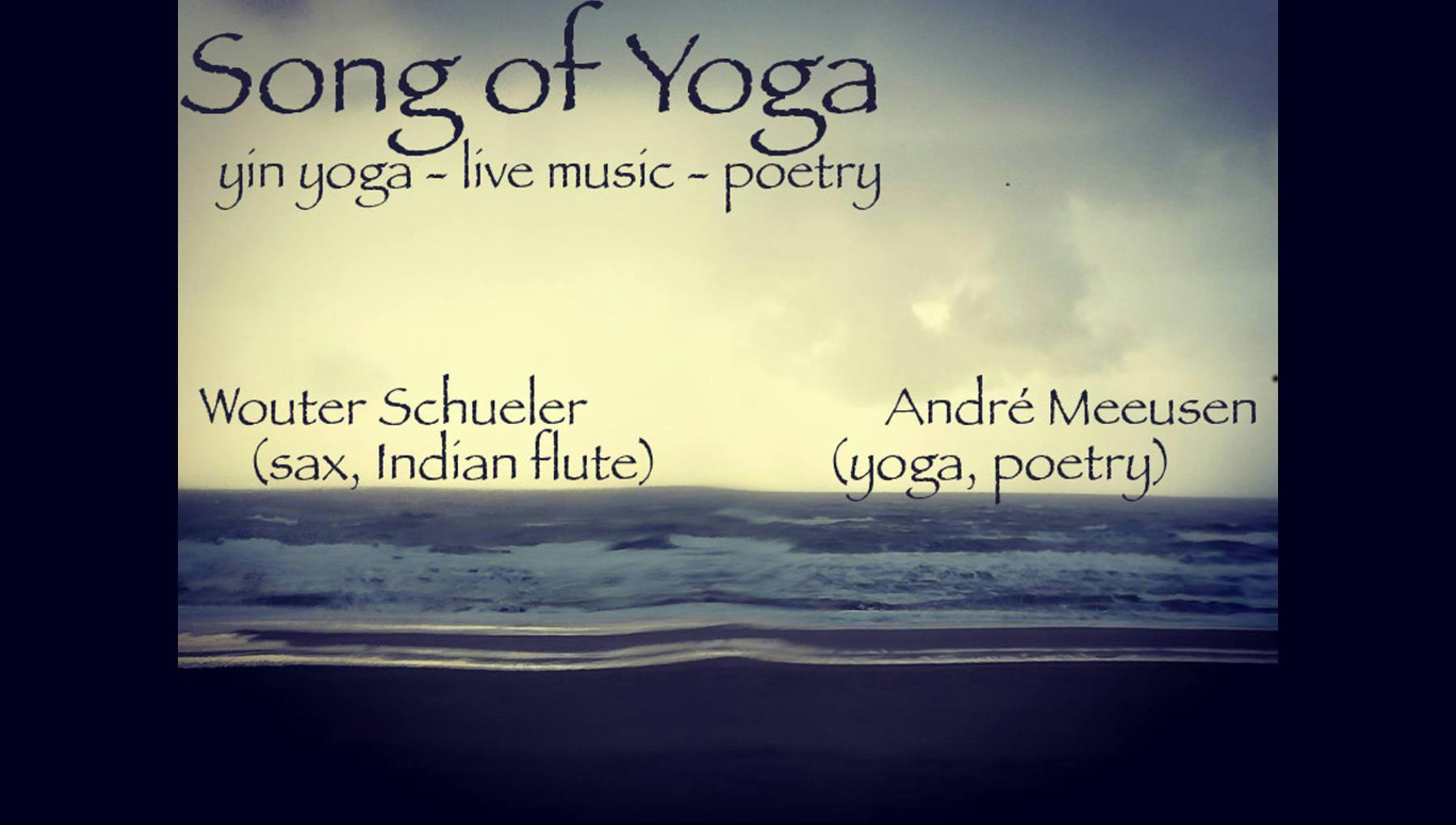Yoga concert - live muziek, poëzie & yin yoga met Wouter Schueler