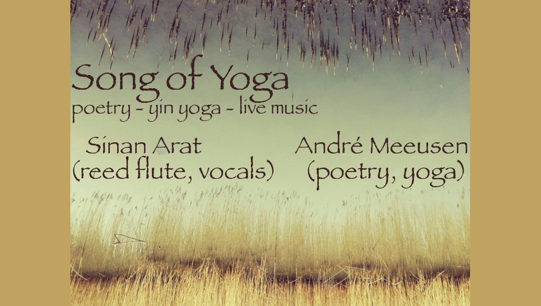 Yoga concert - live music, poetry & yin yoga with Sinan Arat