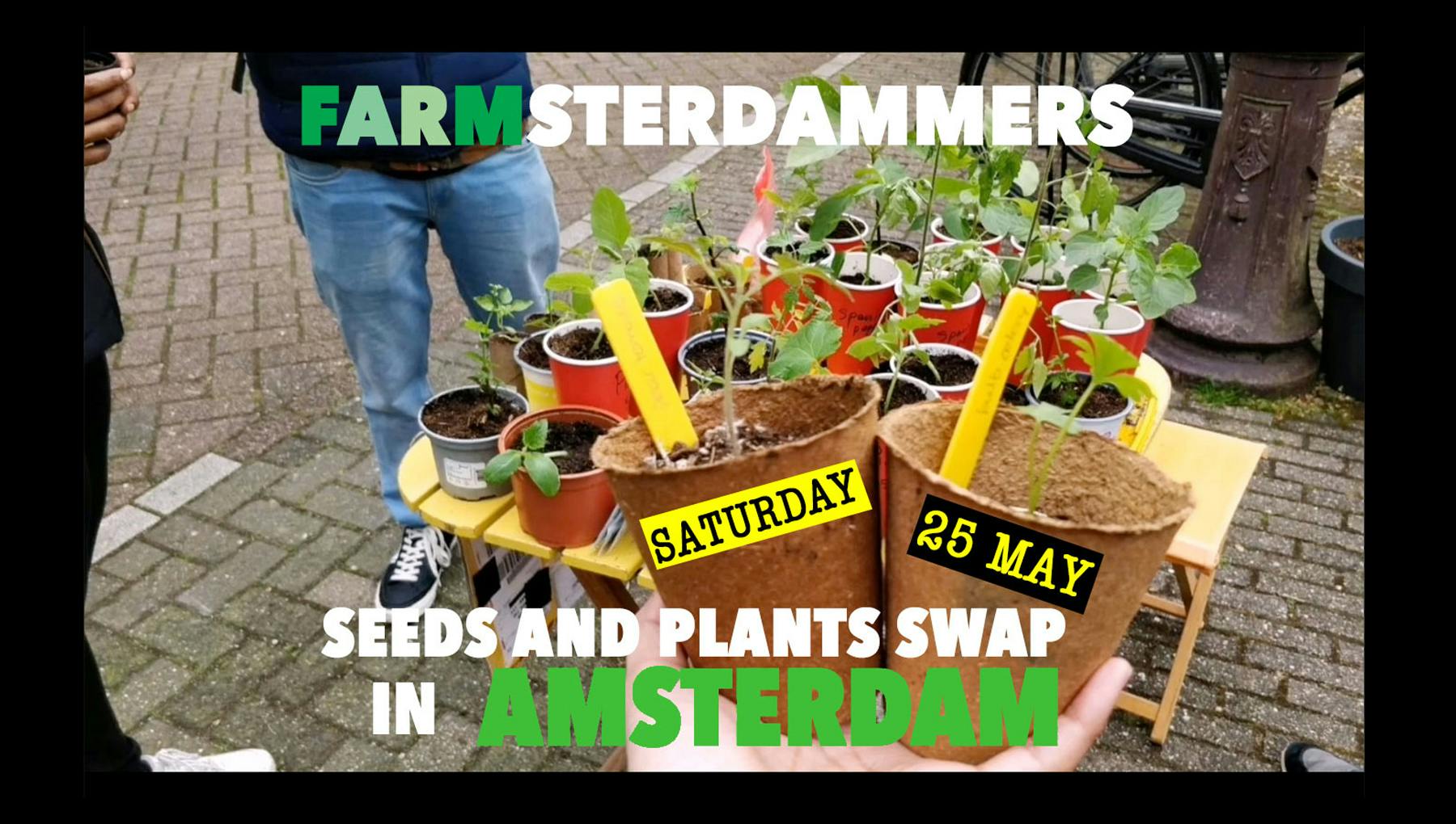 Farmsterdammers 2024: Seed & Plant Swap Amsterdam