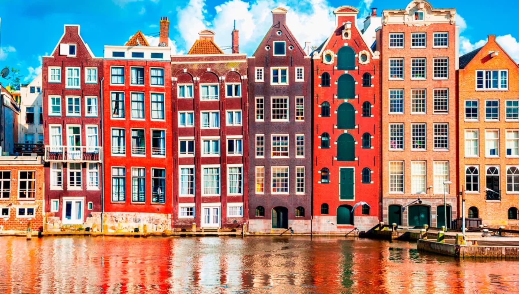 Amsterdam Houses