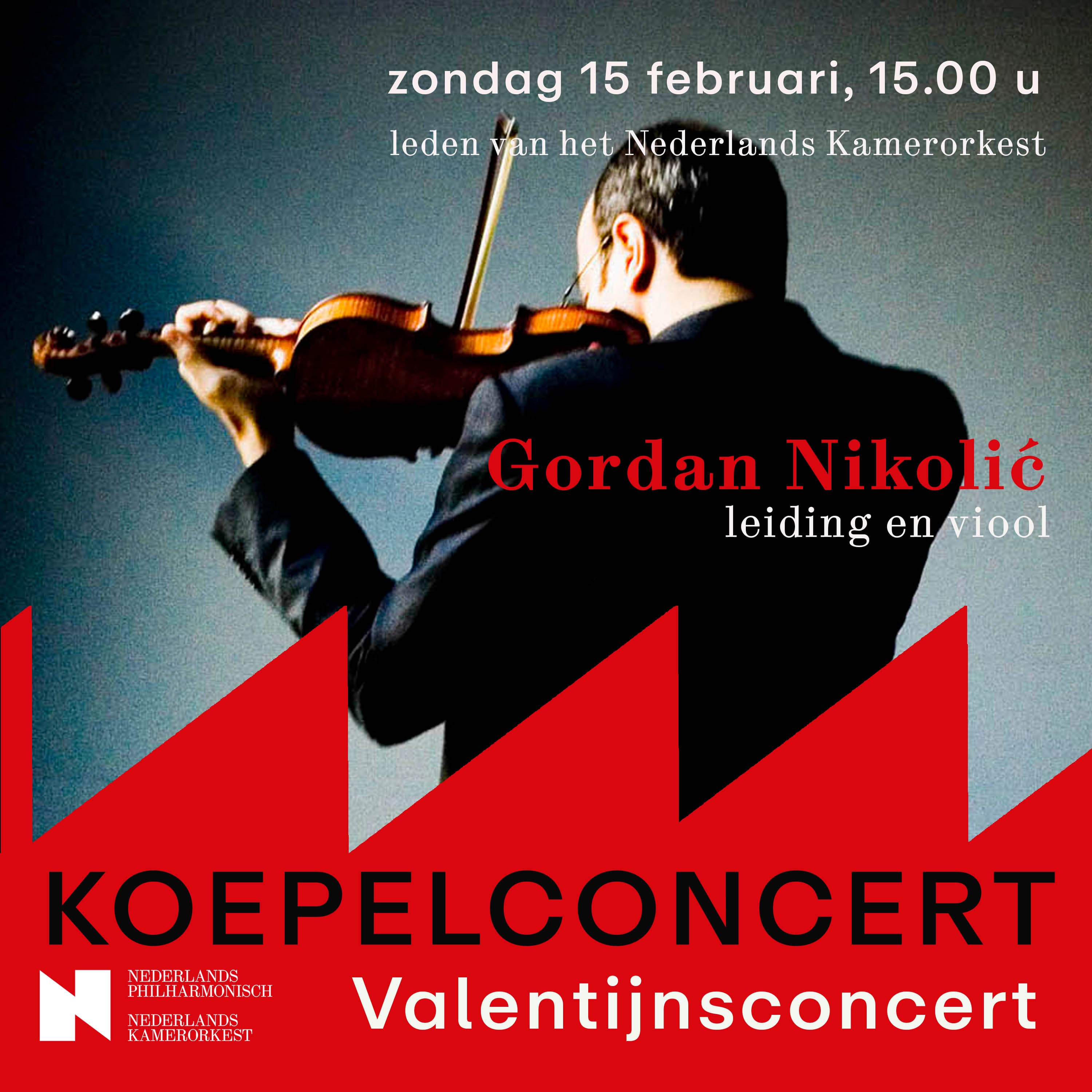 Koepelconcert