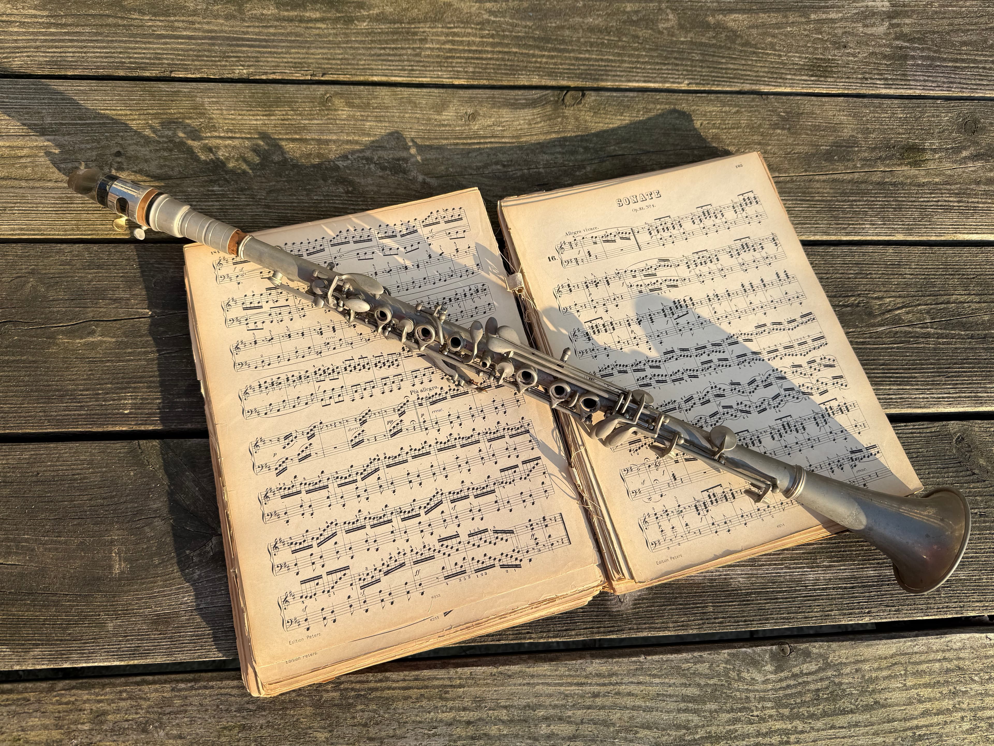 Stadsdorp Elsrijk Kamermuziek Concert