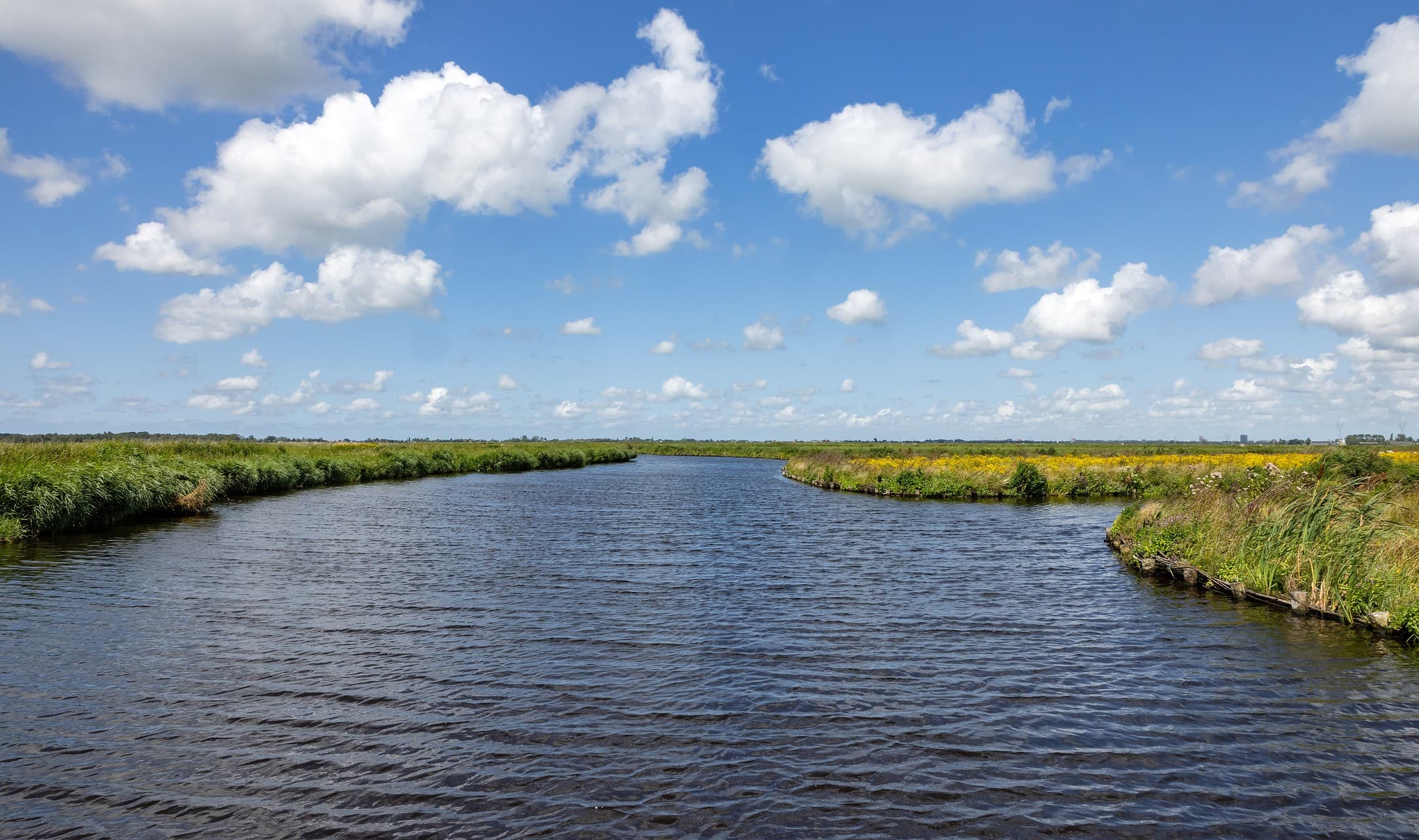 Lente in het Ilperveld