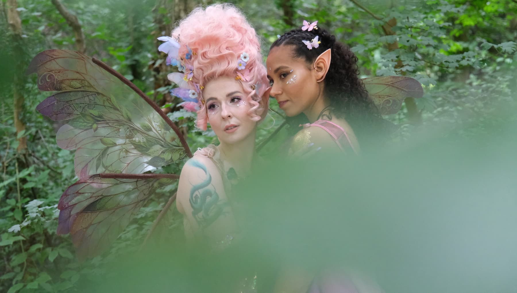 The Fairy Queen and First Fairy