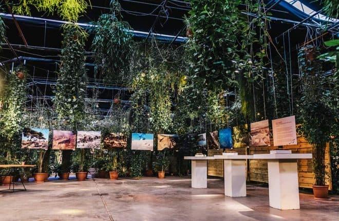 De Arendshoeve – The Garden of Amsterdam