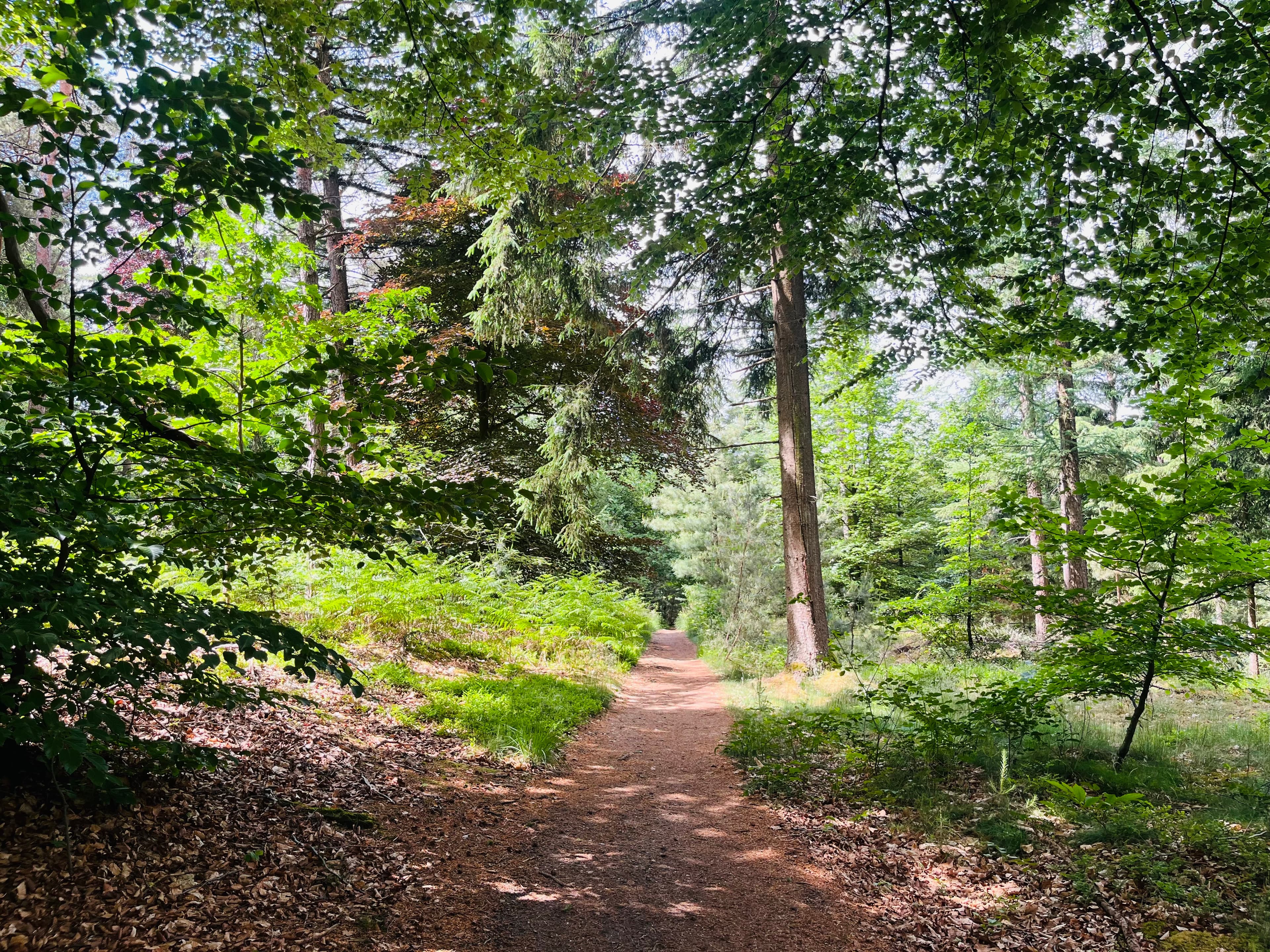 Goois Natuur Reservaat