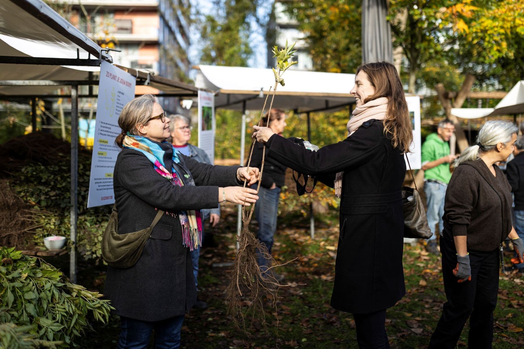 Boompjes uitdelen Bomen voor Amsterdam