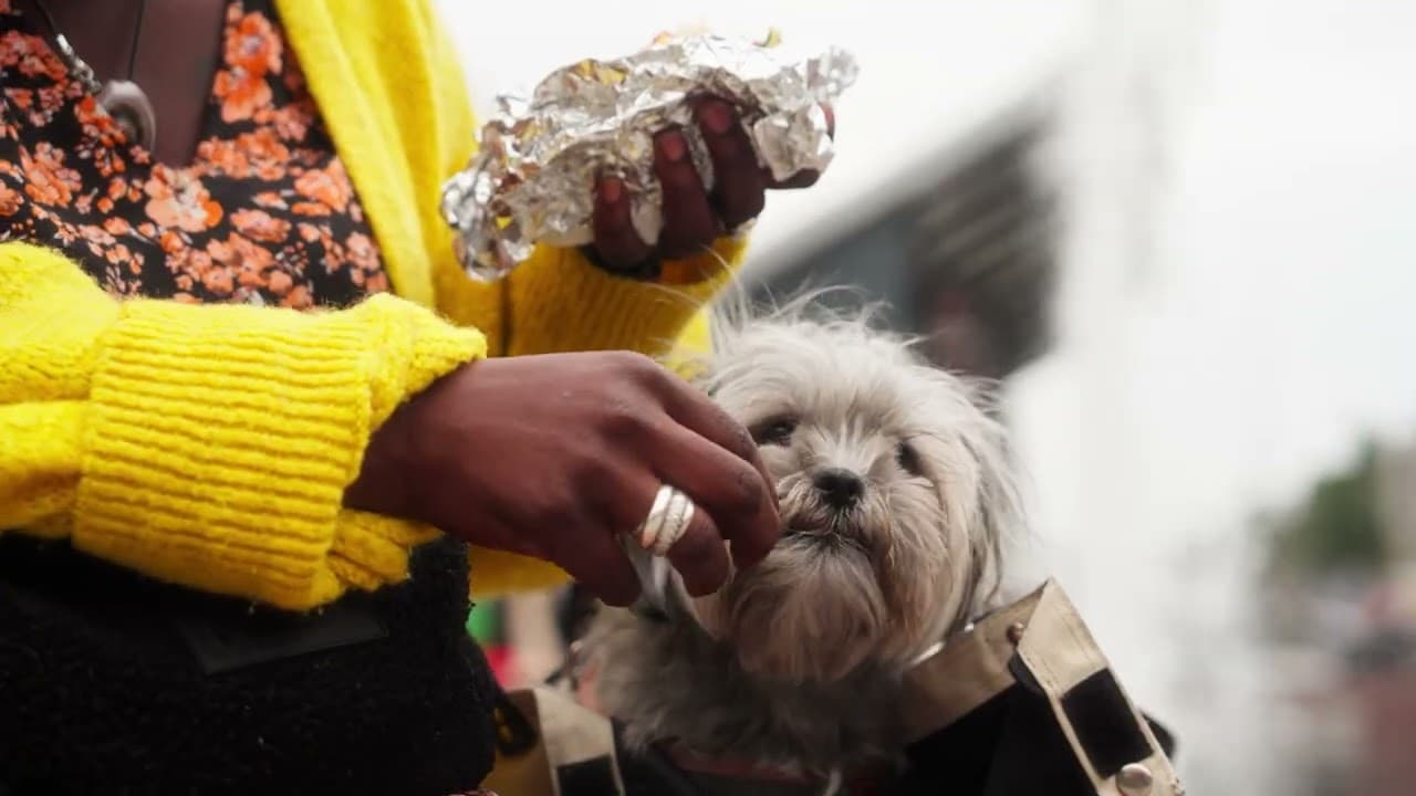 Have you been to these places? - Video thumbnail