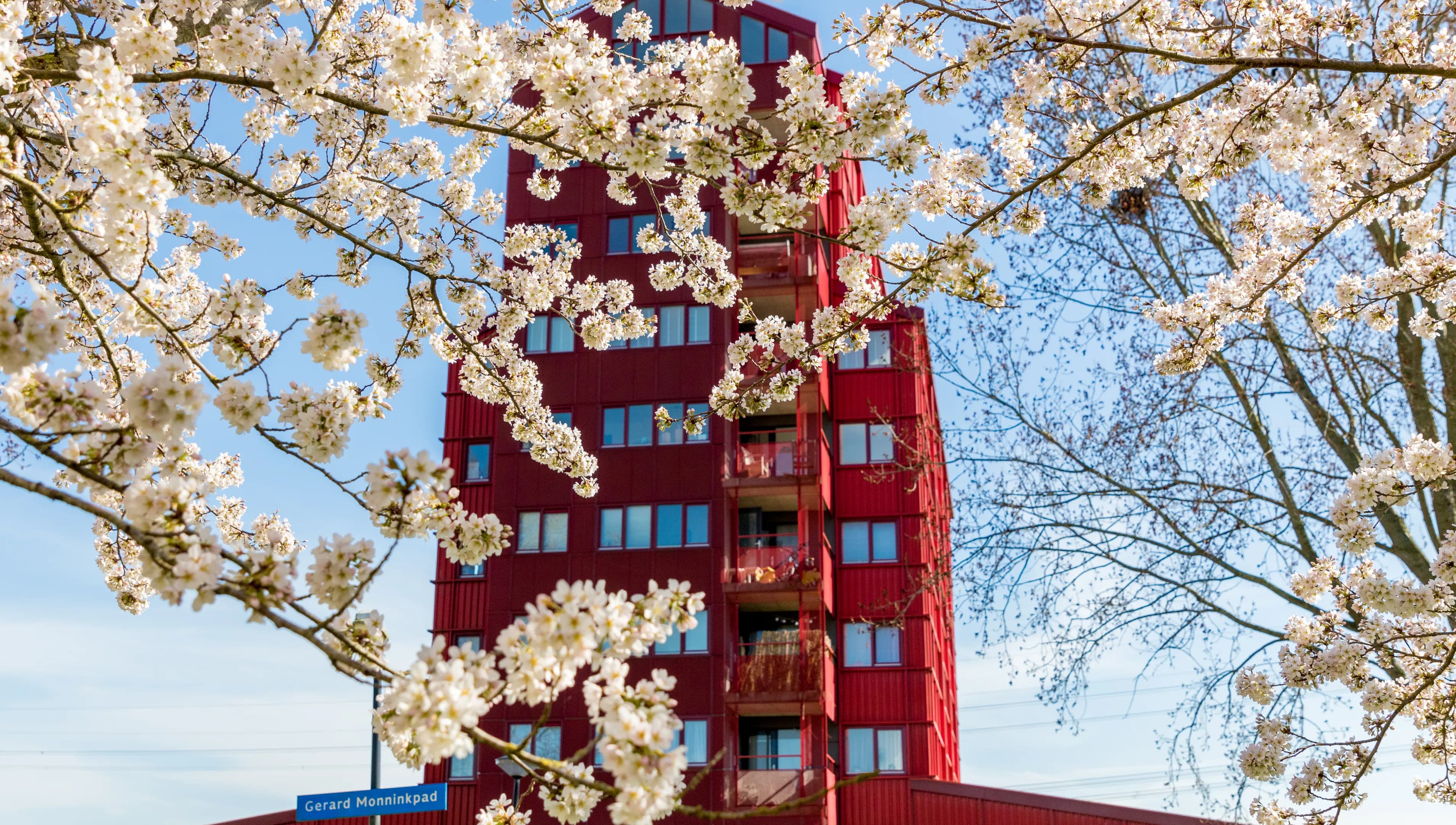 The beginning of spring is the perfect time to discover the unique and colourful architecture of the Rainbow Quarter (Regenboogbuurt), the many cherry blossoms will bloom.