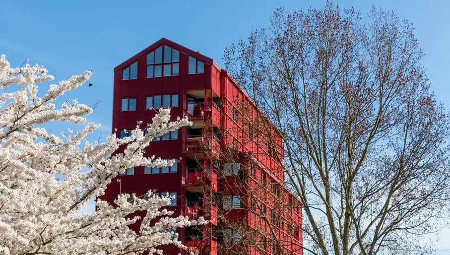The beginning of spring is the perfect time to discover the unique and colourful architecture of the Rainbow Quarter (Regenboogbuurt), the many cherry blossoms will bloom