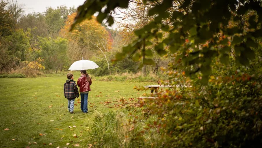 Kids wandering around De Biotheek or 'Beemster Arboretum' during autumn.