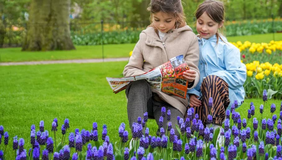 Children reading programme at Keukenhof Gardens 2024.