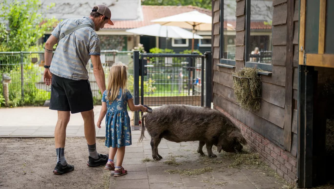 Kinderboerderij De Pijp father and kid standing with a pig