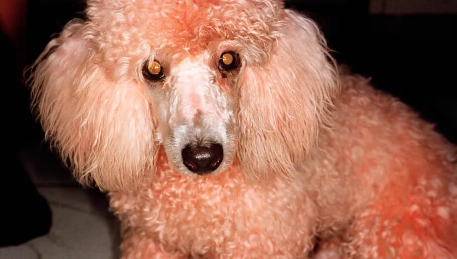 THAILAND. Bangkok. 1998.