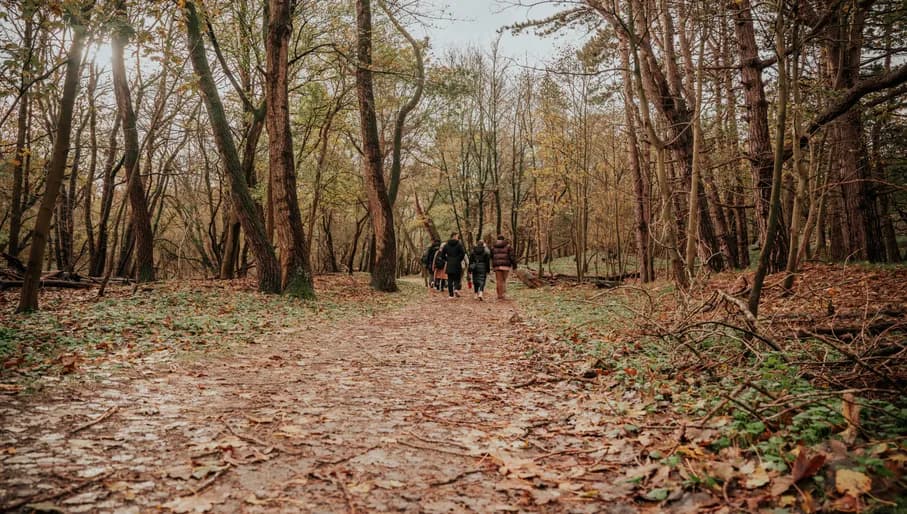 A group of people walks through the woods of the Amsterdamse Waterleidingduinen.