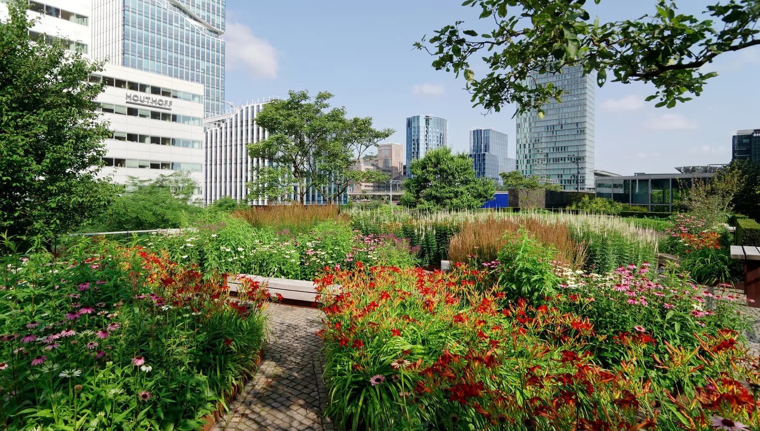 Green roof Zuidas nature initiative for increasing of biodiversity.