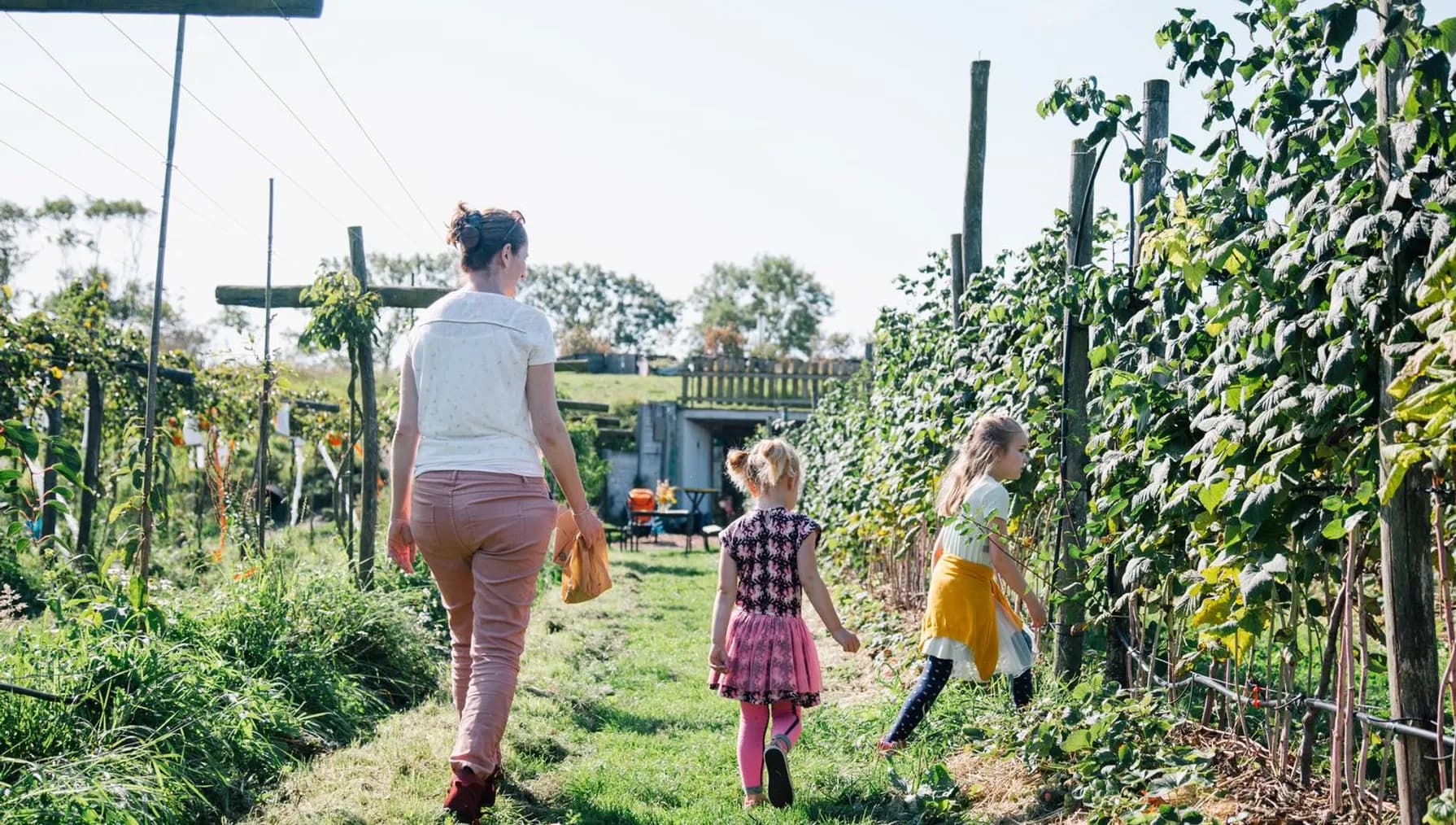 Family and kids picking fruit at Fruittuin van West