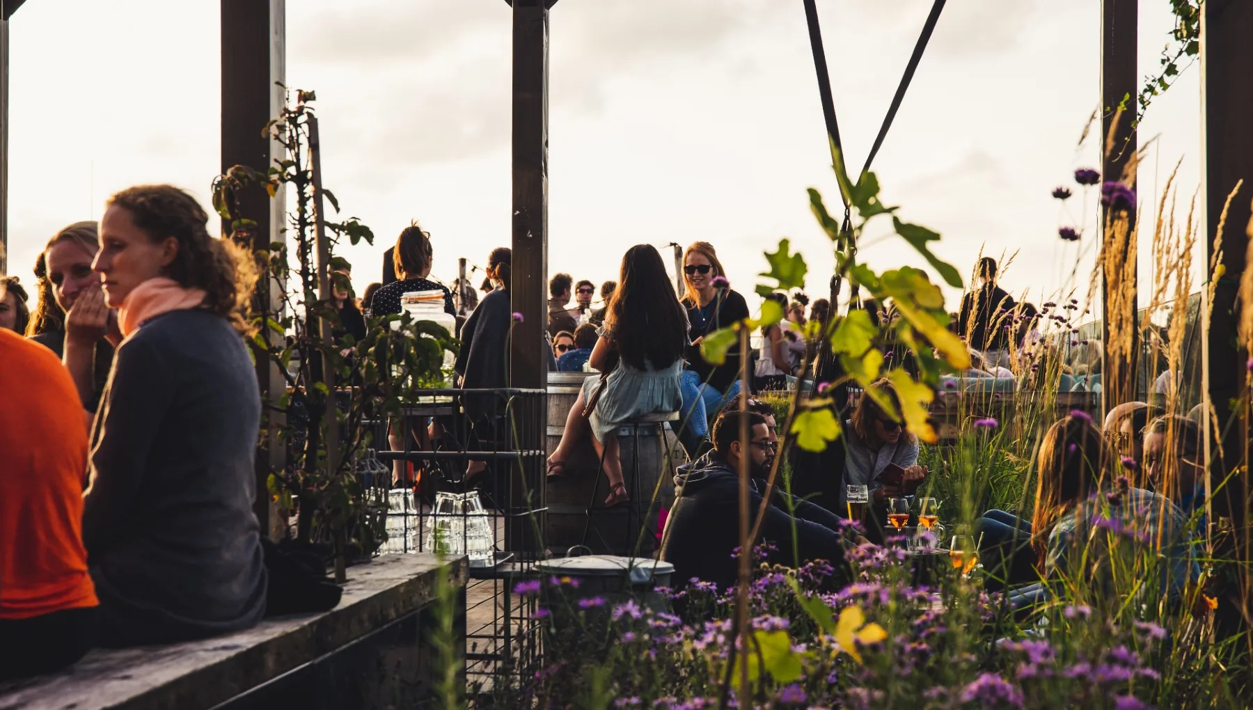 GAPP rooftop terrace with people