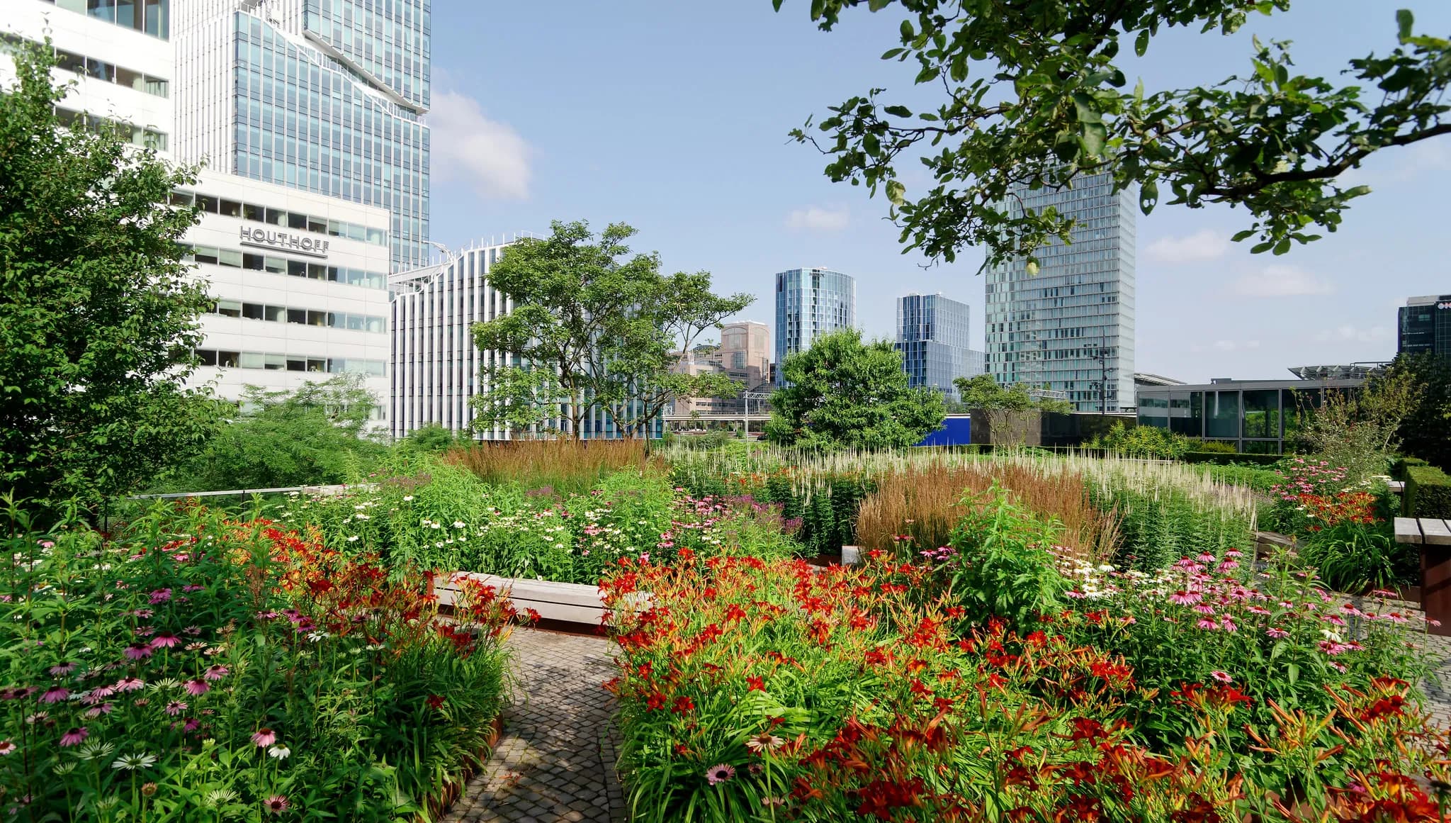 sustainable initiatives increasing urban biodiversity