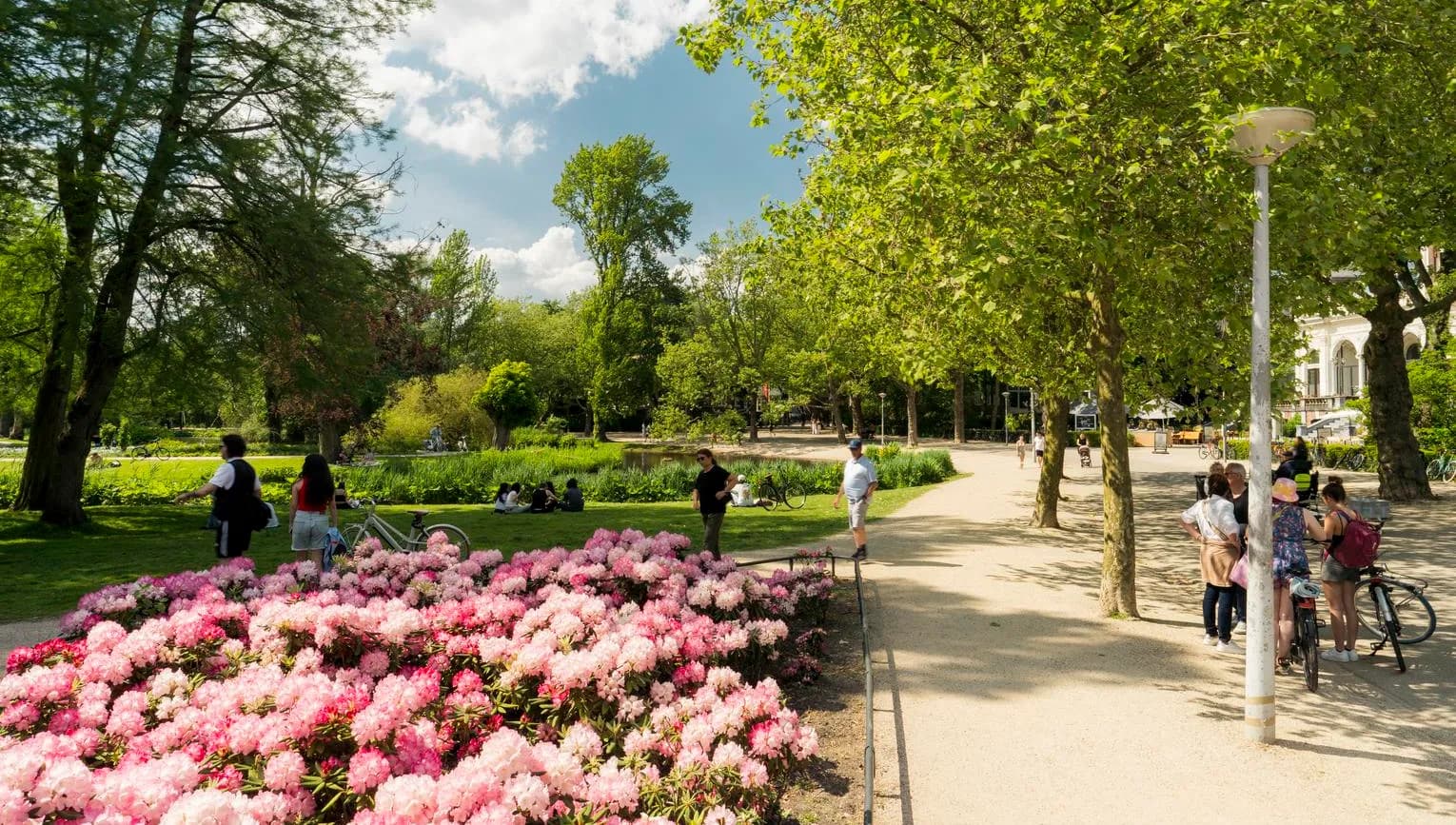 Blossoming Vondelpark