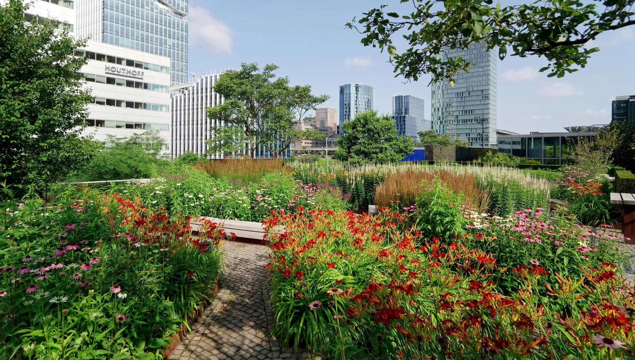 sustainable initiatives increasing urban biodiversity
