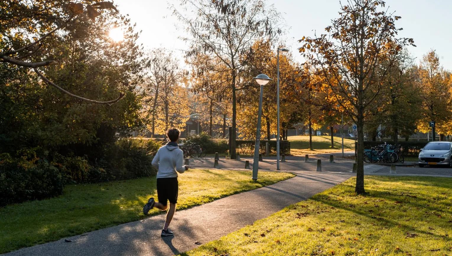 A jogger runs through a sunny Wachterliedplantsoen.