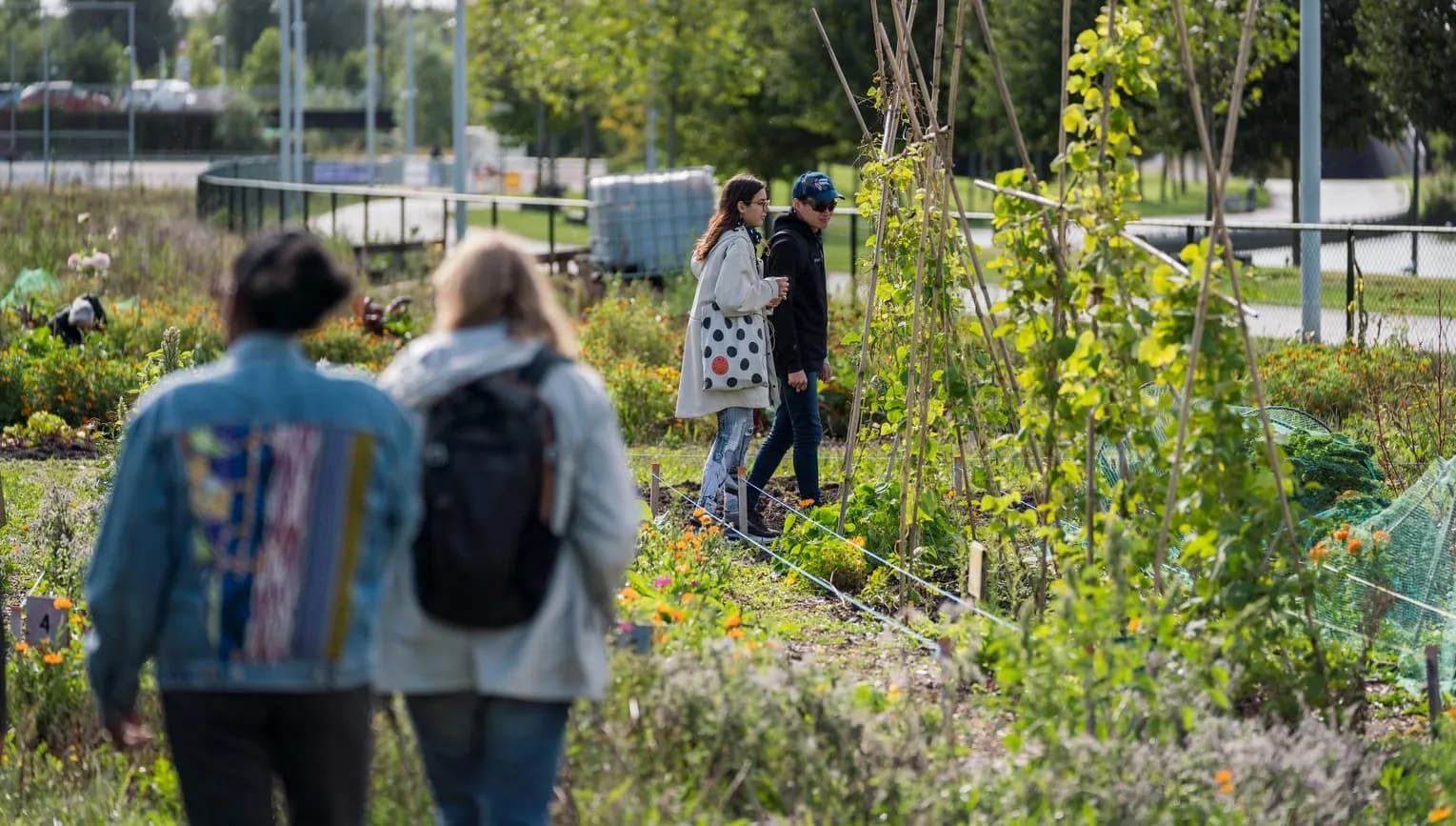 People visiting the garden of the Verfplantentuin Bloei en Groei at Nelson Mandelapark during 24H Zuidoost 2022.