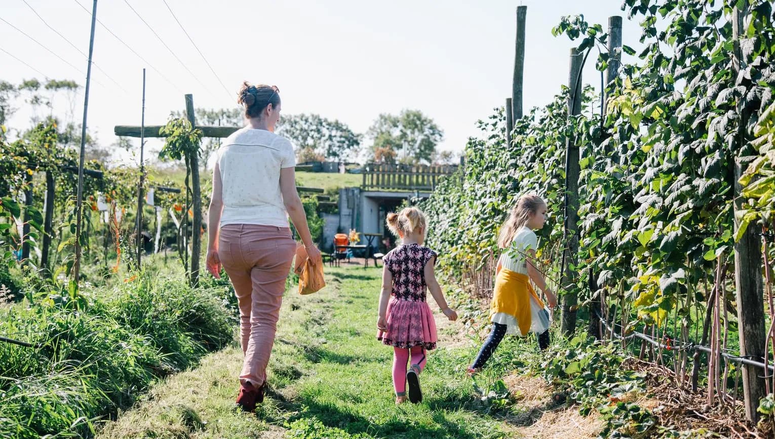 Family and kids picking fruit at Fruittuin van West