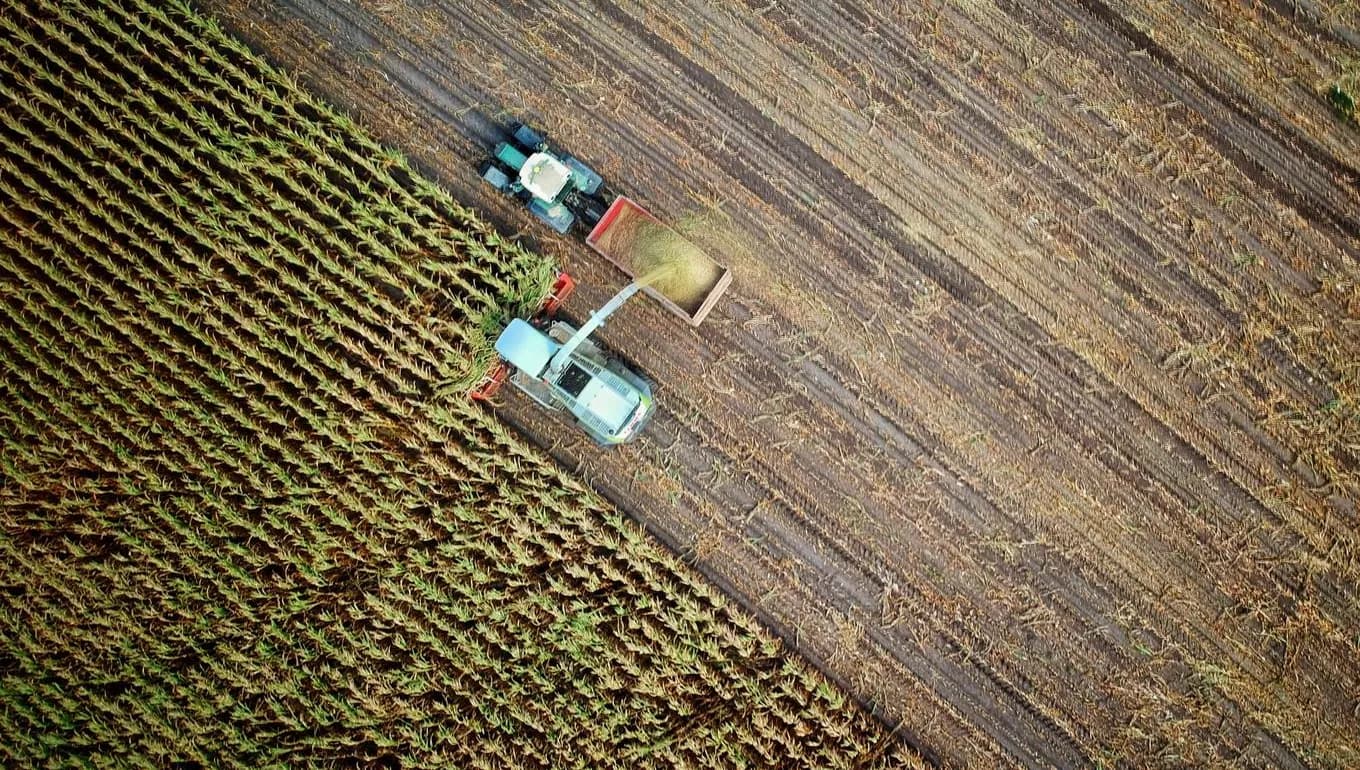 Agriculture field